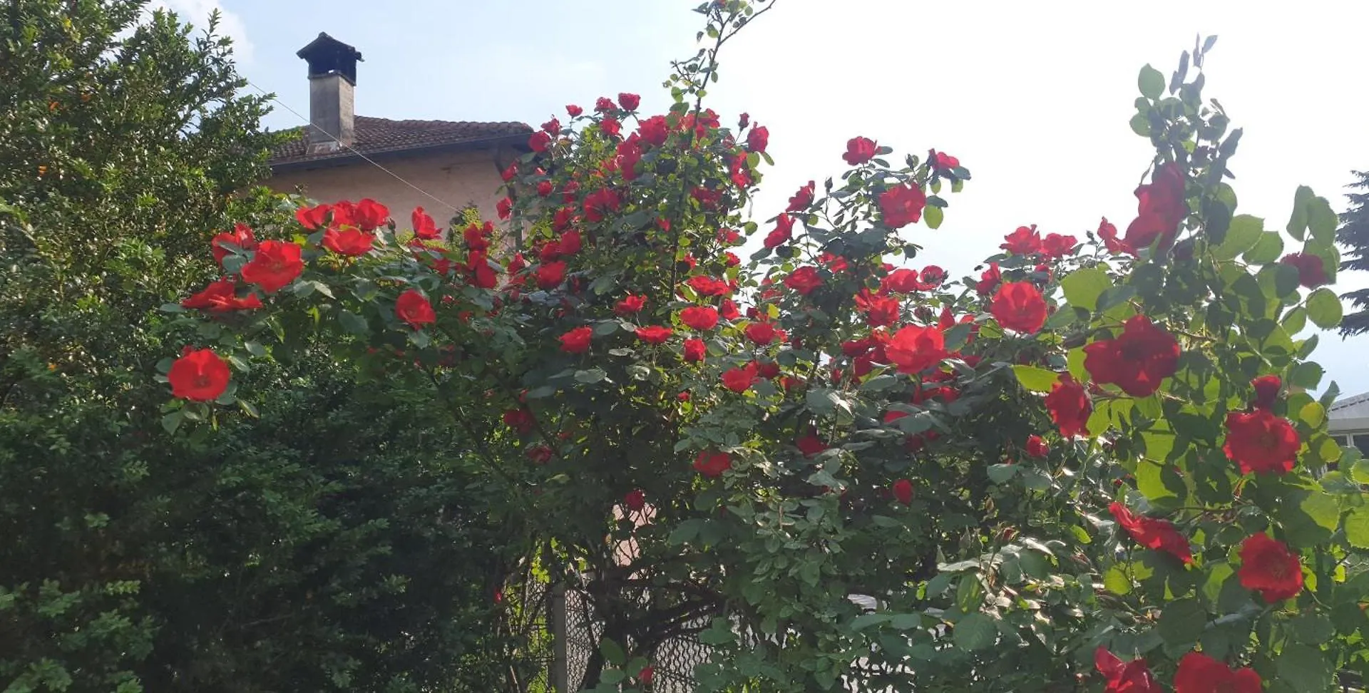 Holiday home Villa Lago Foreground - Pet Friendly Stay- Garden-Parking-Lake View- Bike Friendly Holiday House Colico Italy